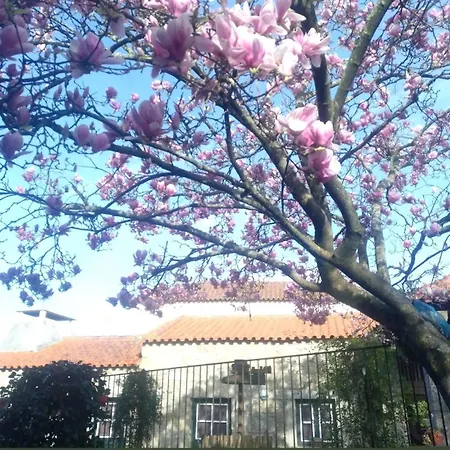 Sao Braz Terrace Villa Landim Exterior photo